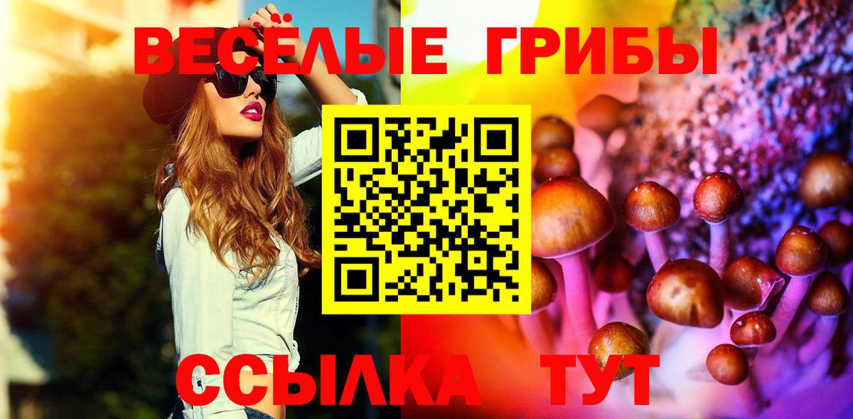 Псилоцибиновые грибы прущие грибы  Псилоцибиновые грибы Psilocybe  Вход с VPN  Аксай 
